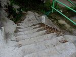 отремонтированная лестница на Океанский проспект,98