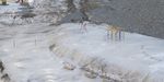 Попытки очистить детские площадки в Снеговой пади во Владивостоке ото льда оказались безуспешными