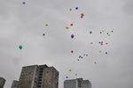 Ученики школы №53 выпустили в небо десятки воздушных шаров