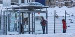 Остановки в Снеговой пади во Владивостоке временно стали безымянными