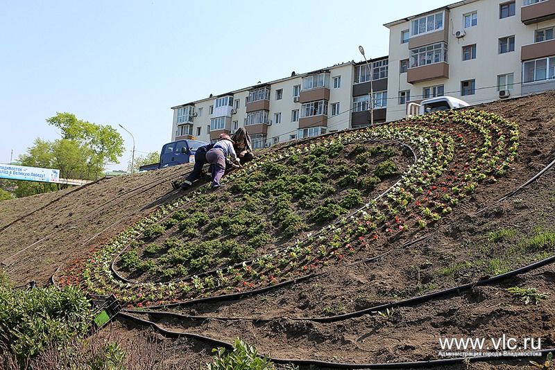 Цветы снова украсили надпись «Владивосток» в районе "Молодежной"