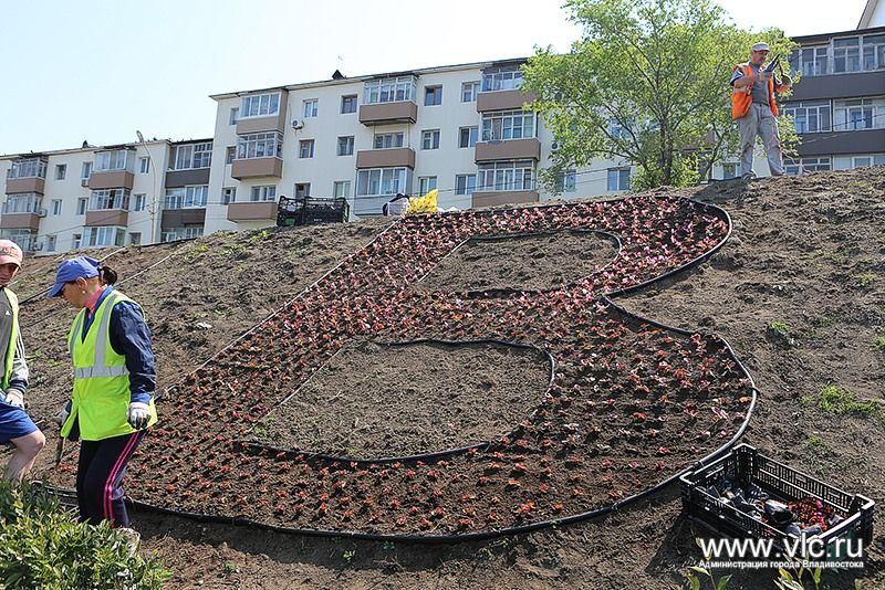 Цветы снова украсили надпись «Владивосток» в районе "Молодежной"